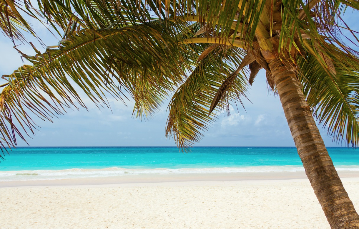 ‘The summer is magic’: Fijne zomer!