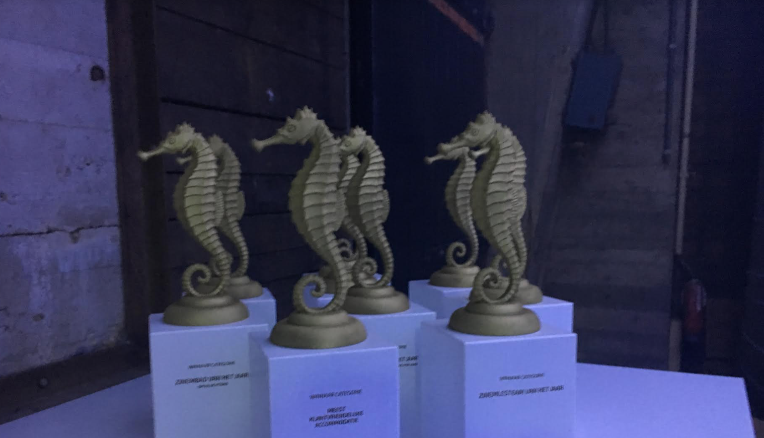 Winnaars Awards bekendgemaakt tijdens feestelijk slot ZBBD17