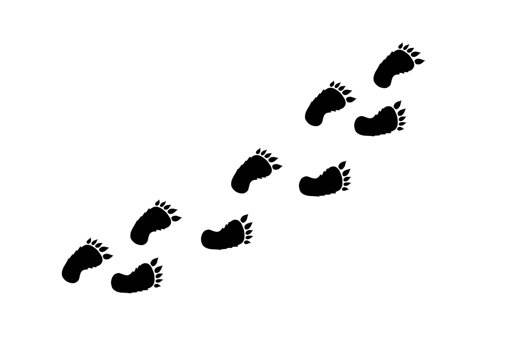 Tijd voor verandering? Kies de korte route en neem het olifantenpad!