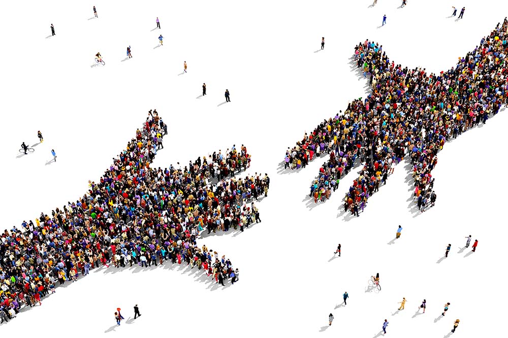 Laco en Sportfondsen bundelen krachten samen in één bedrijf